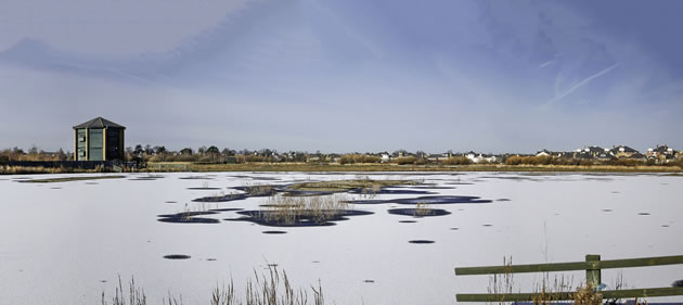 Snow at the Wetland Centre